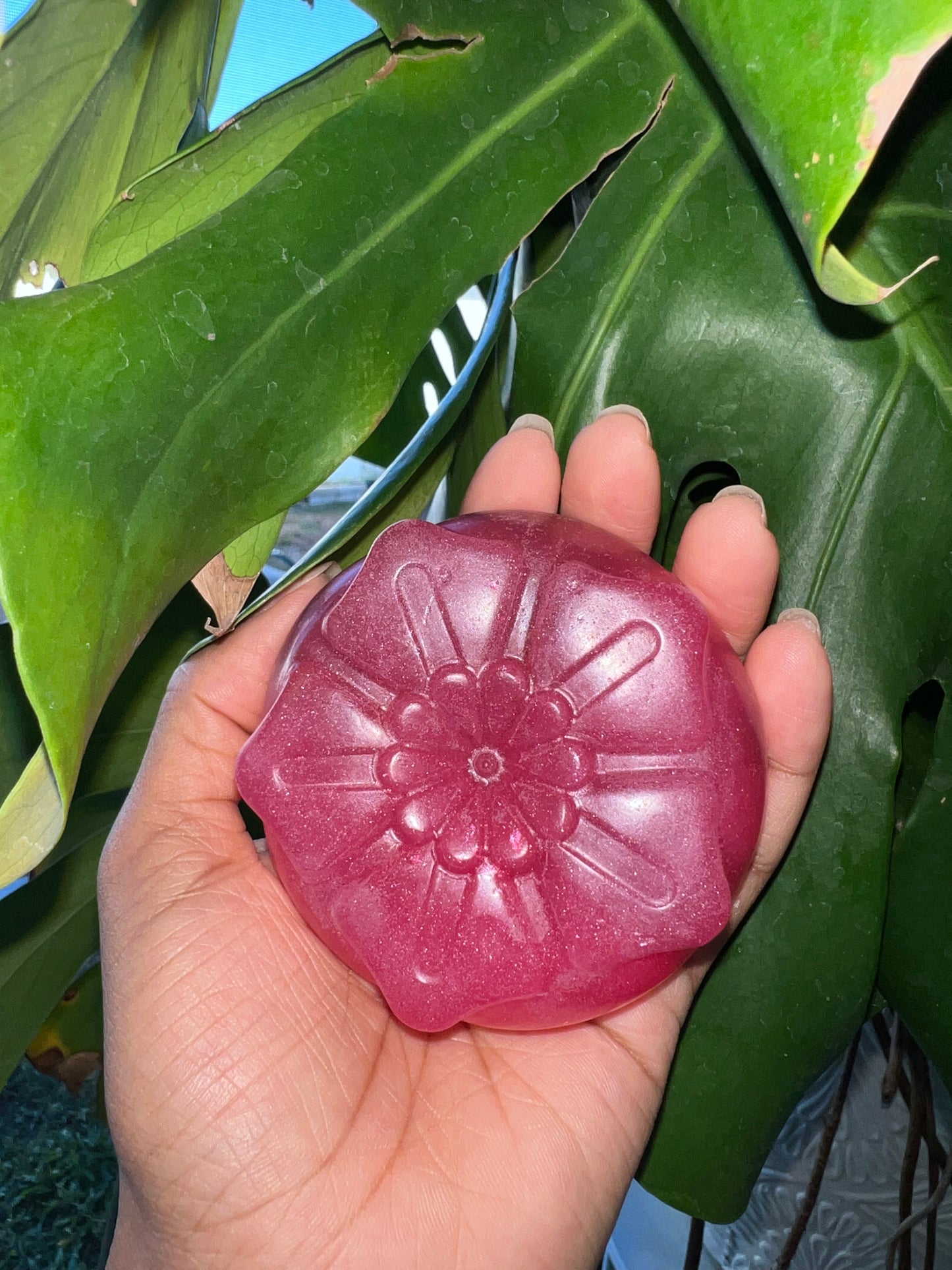 Rose Spring Flower