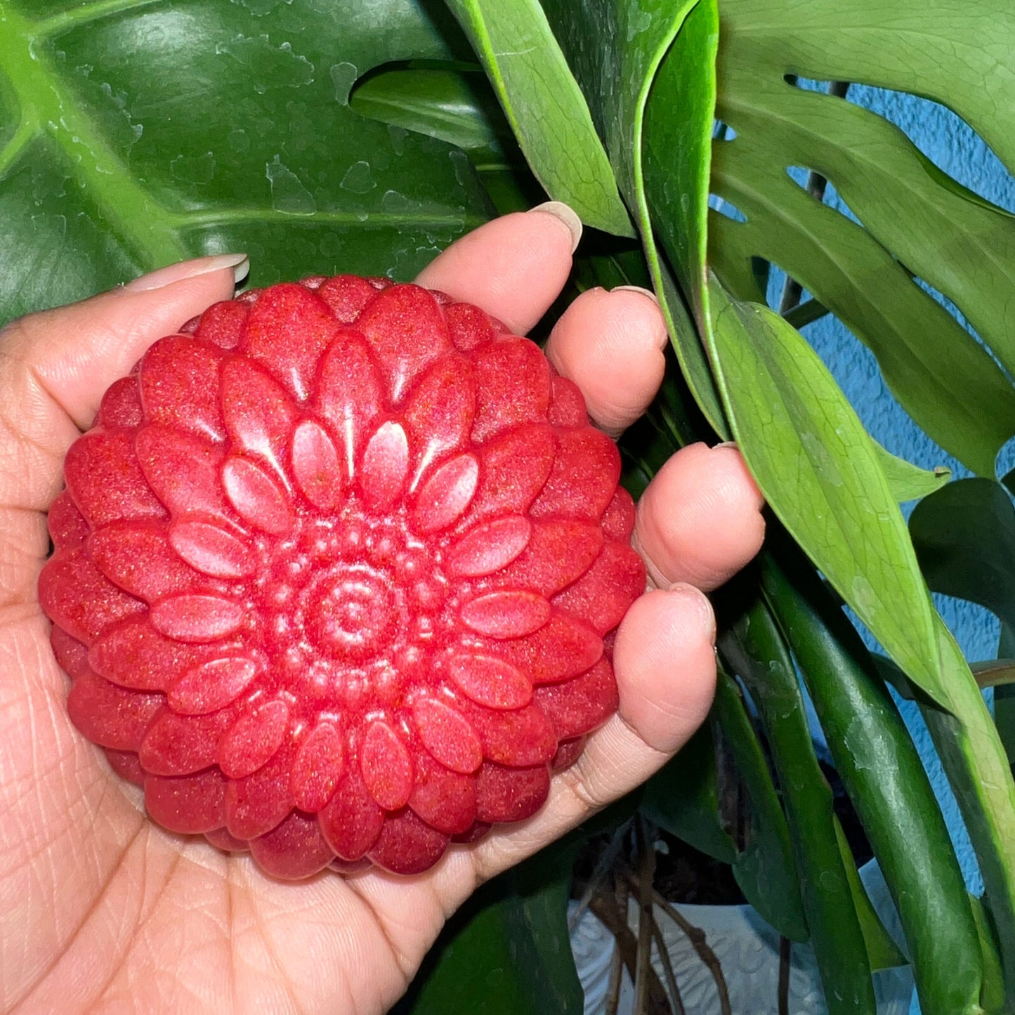 Rose Spring Flower