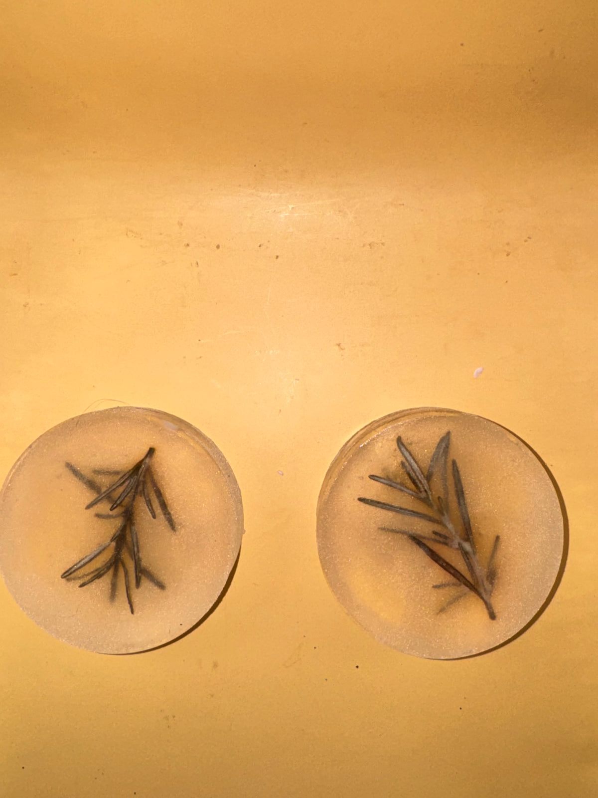 Rosemary Shampoo Bar