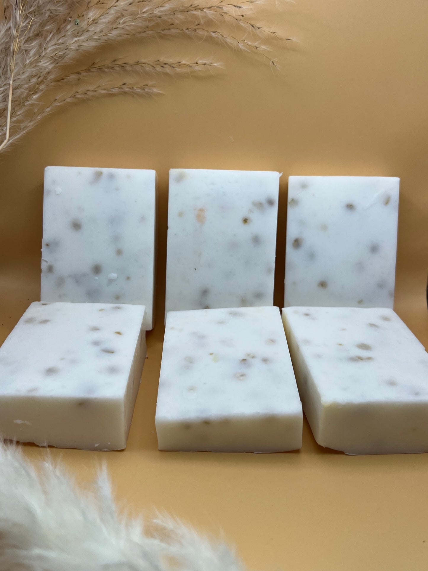 Oatmeal Bar